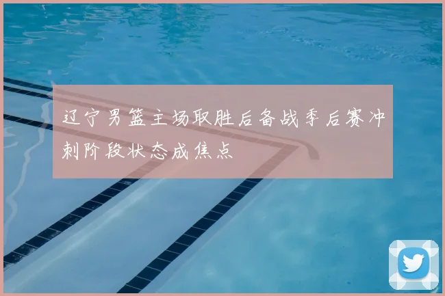 辽宁男篮主场取胜后备战季后赛冲刺阶段状态成焦点