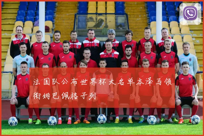 法国队公布世界杯大名单本泽马领衔姆巴佩格子列